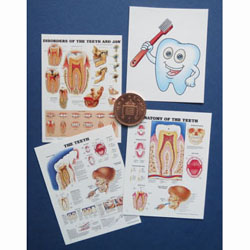 4 Dental Posters